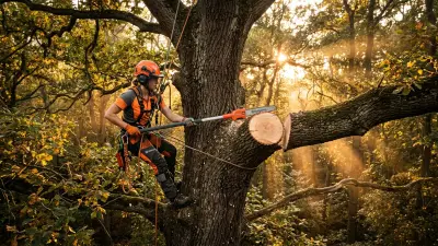 How to Prune Large Branches with a Pole Saw (No Bark Tear)