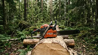 Powerhouse in the Woods: Efco MT8200 Chainsaw In-Depth Review