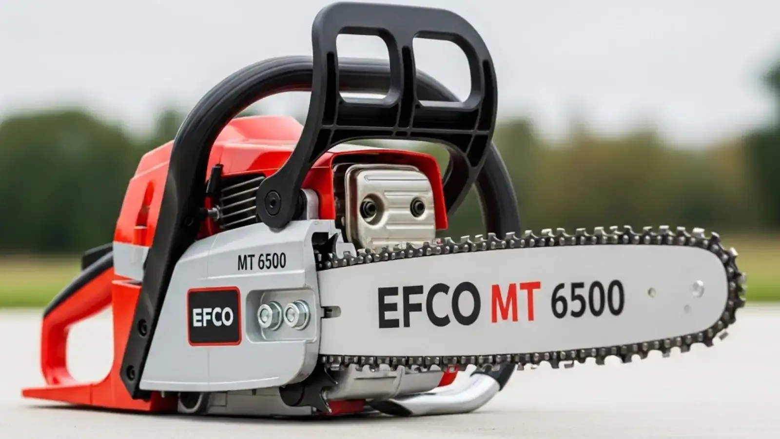 Top 5 Efco Chainsaw, Best Reviews