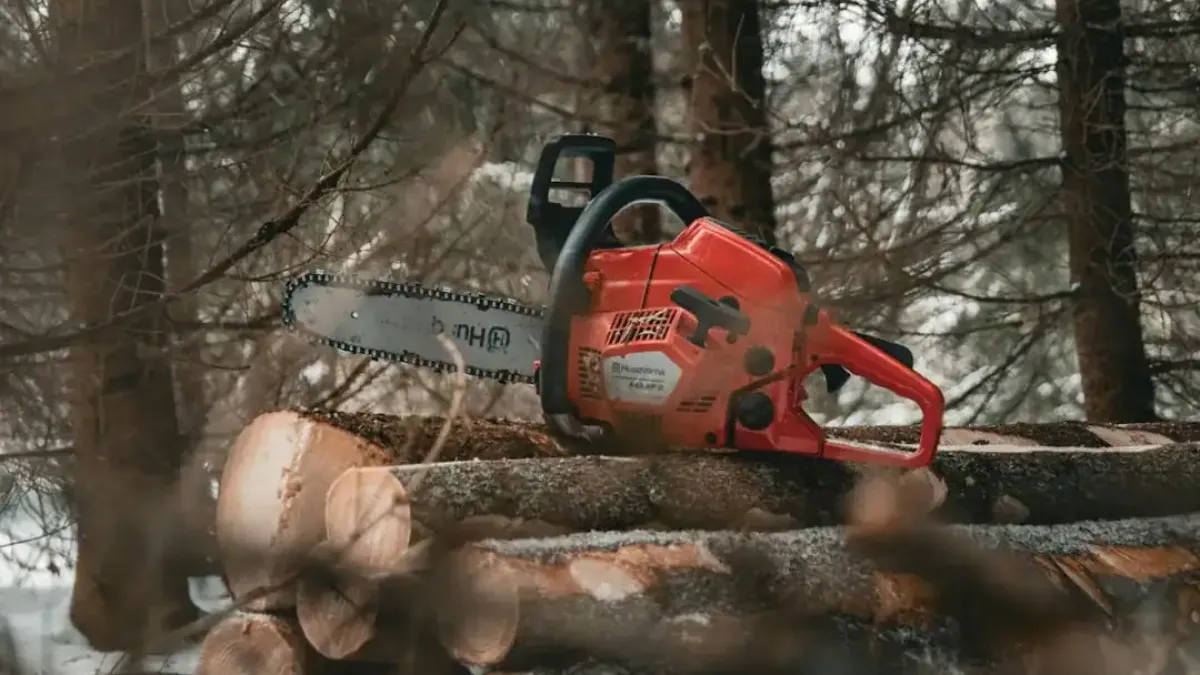 Choosing the Right Battery Chainsaw for Your Yard and Projects