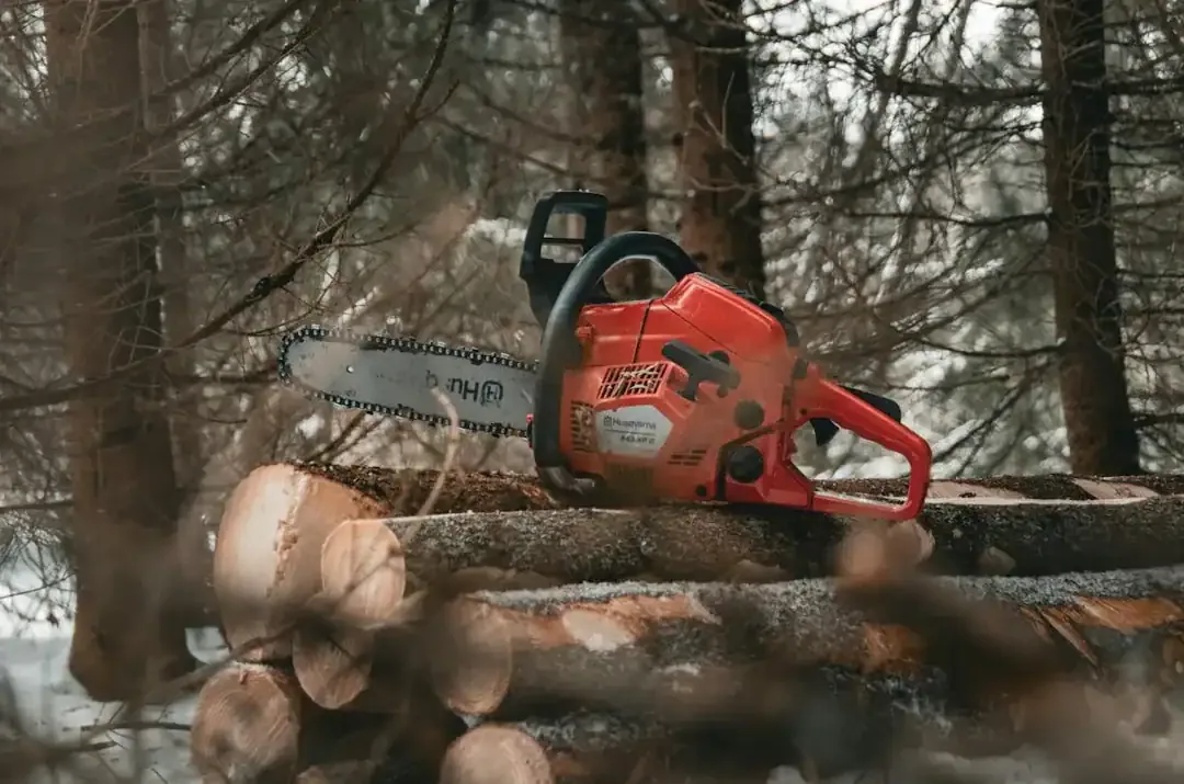 Choosing the Right Battery Chainsaw for Your Yard and Projects