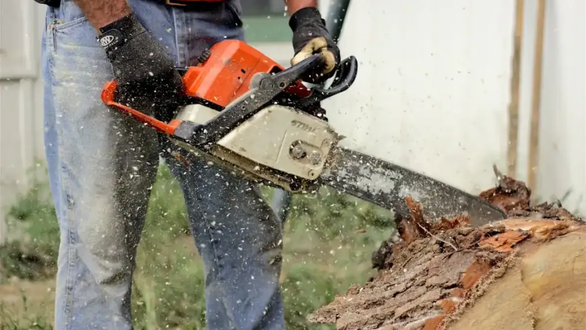 Extend Your Chainsaw's Life: Essential Lubricants and Fluids Guide