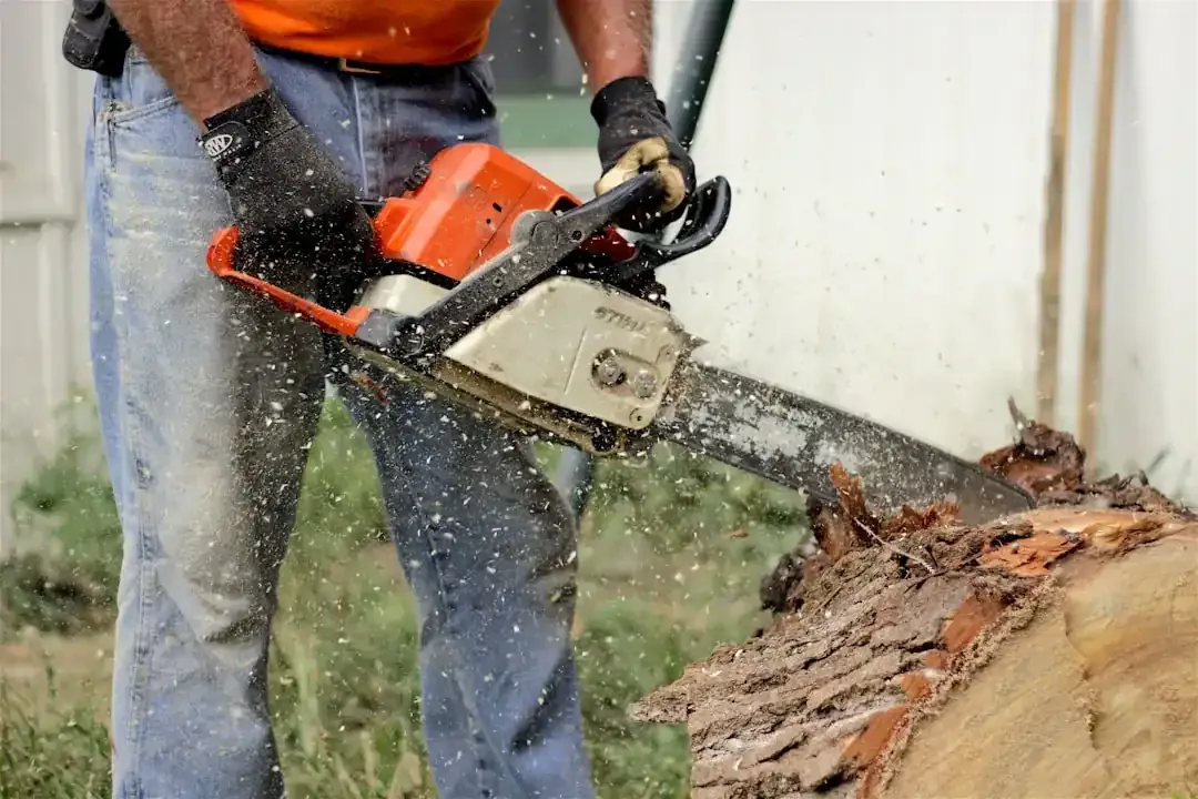 Extend Your Chainsaw's Life: Essential Lubricants and Fluids Guide