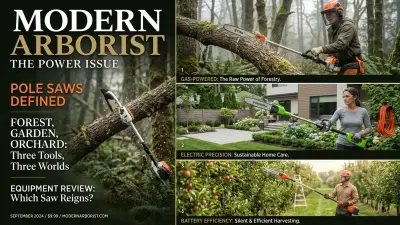 Gas vs. Electric vs. Battery Pole Saws: Which is Right for You?