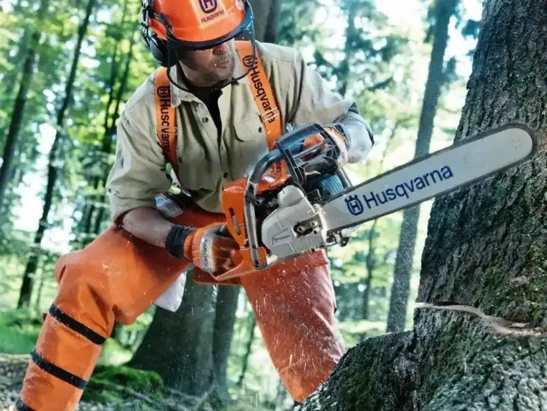 Husqvarna 562XP Specs: Full review, specs, common problems and buying guide