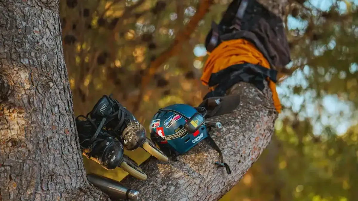 Mastering Your Corded Electric Chainsaw: Power, Reach, and Safety