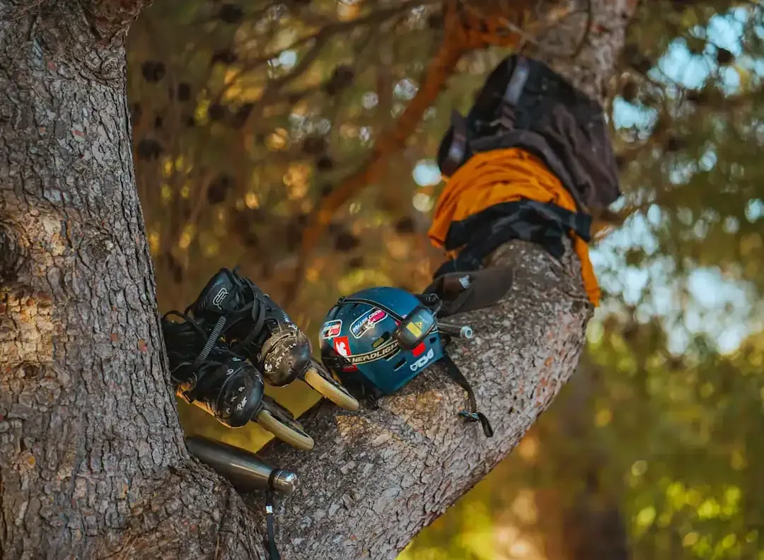 Mastering Your Corded Electric Chainsaw: Power, Reach, and Safety