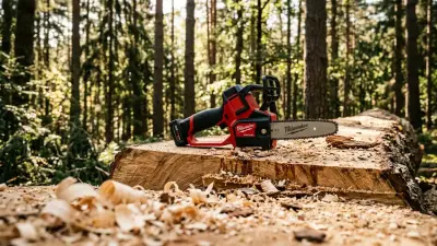 Mini Chainsaw Buyer's Guide: Choosing for Small Tasks