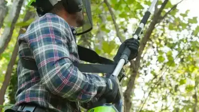 Pole Saw Reviews 2024: Top Electric, Cordless & Battery-Powered Models Compared