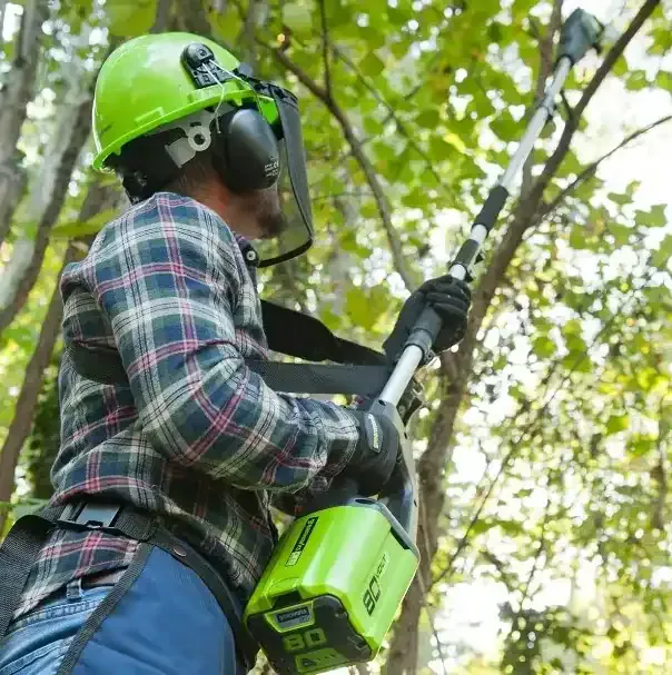 Pole Saw Reviews 2024: Top Electric, Cordless & Battery-Powered Models Compared