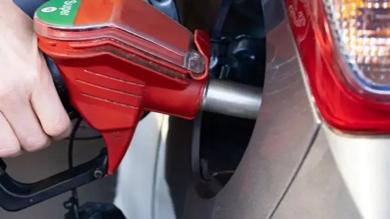 Protect Your Chainsaw: Ethanol-Free vs. Stabilized Fuel