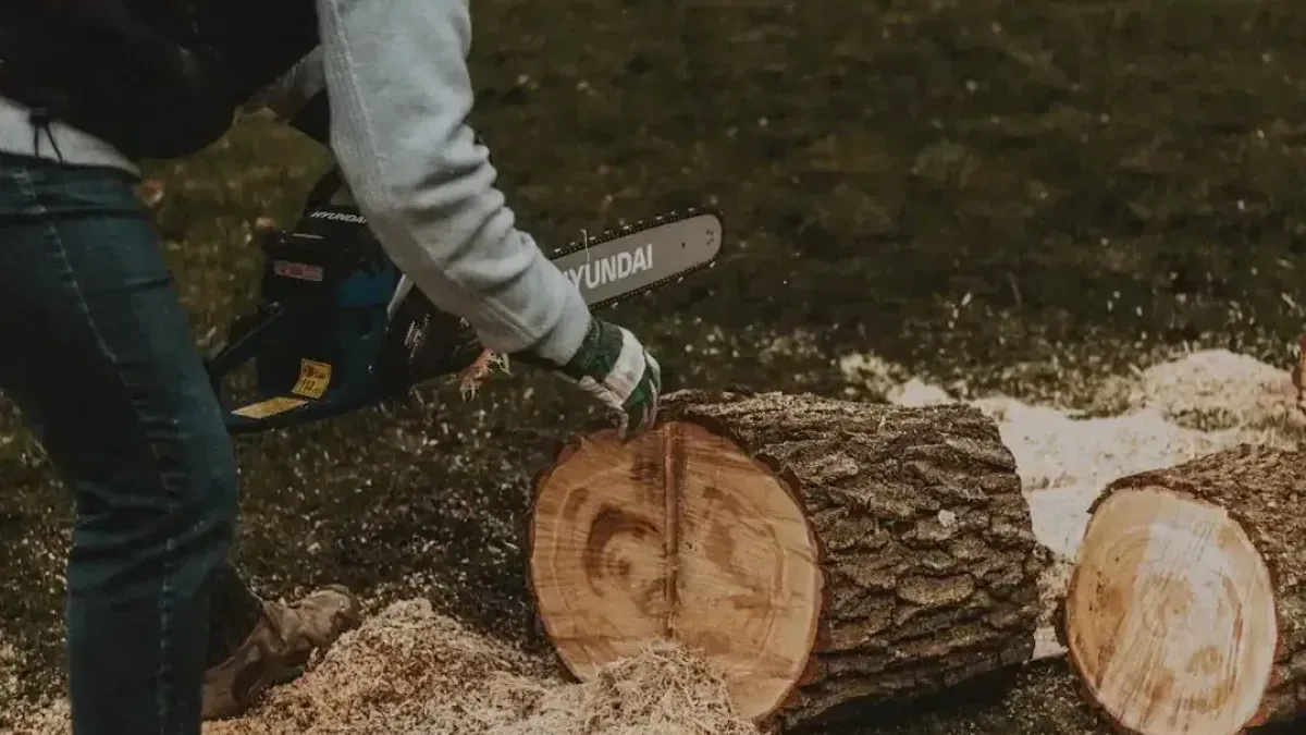 Unlock the Power: Top Uses for a Mini Chainsaw in Your Home & Garden