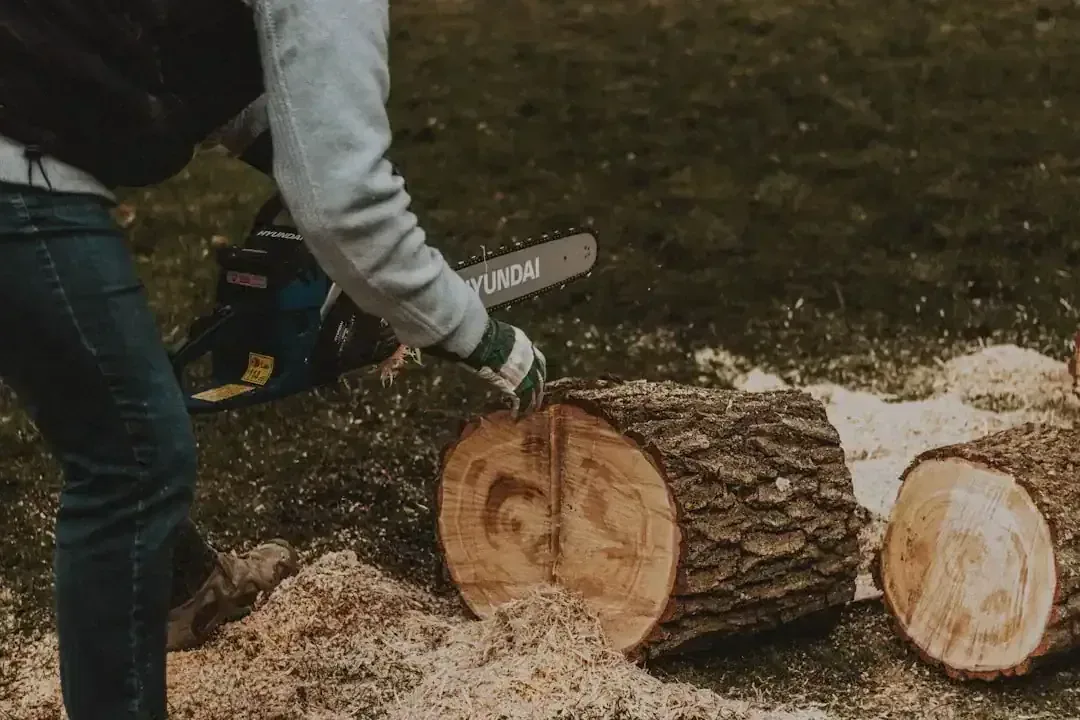 Mini Chainsaw Magic: Essential Uses for Your Home & Garden