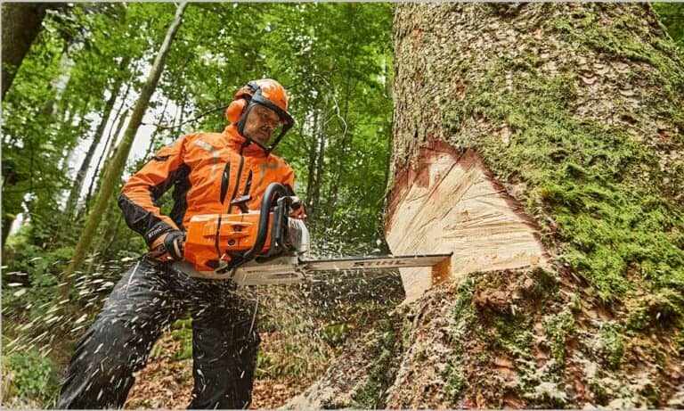 Chainsaw Chassis: The Backbone of Cutting Power