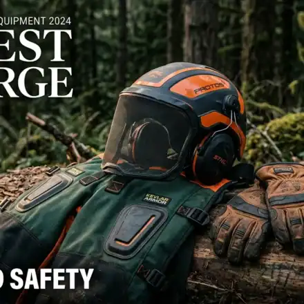 Chainsaw Safety Essentials