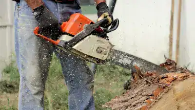 extend your chainsaws life essential lubricants and fluids g 2026 03 10