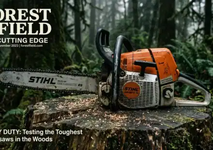 most durable chainsaw brands in 2026 2026 06 11